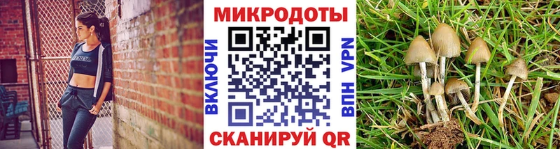 Галлюциногенные грибы GOLDEN TEACHER  Химки 